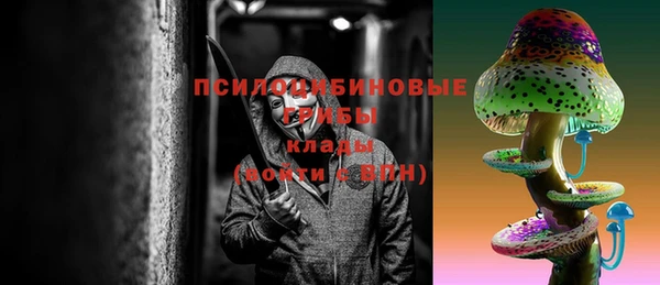 круглые Абаза