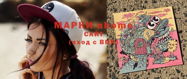 шишки Алексин