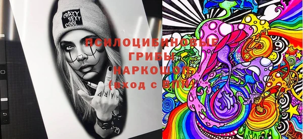 круглые Абаза