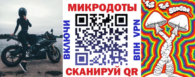 OMG как зайти  Чухлома  Галлюциногенные грибы Magic Shrooms 